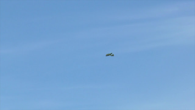 Rocket Hunter 1080p latino