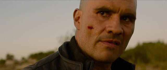 El protector 1080p latino