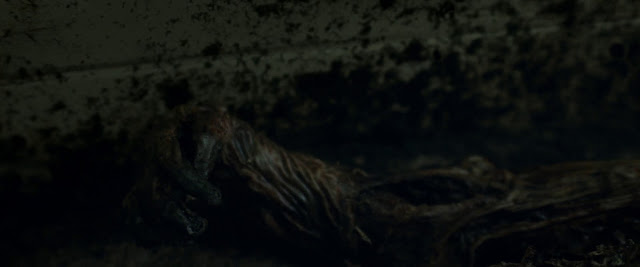 Relic: Herencia Maldita 1080p latino