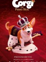 Corgi Un Perro Real 2019 en 720p, 1080p Español Latino