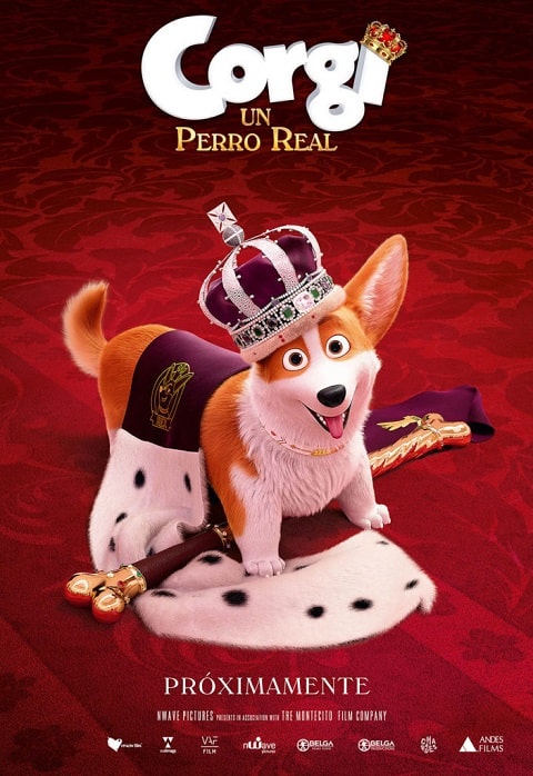 Corgi Un Perro Real cover poster cartel latino
