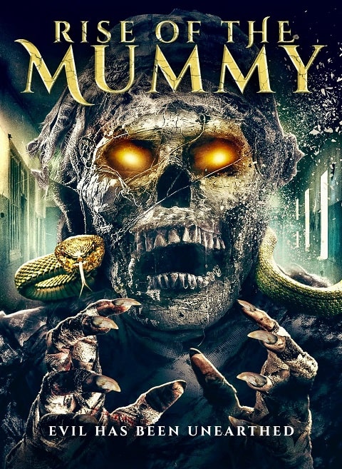 Rise of the Mummy cartel poster cover