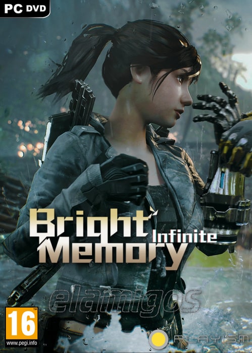 Bright Memory Infinite pc cover poster box