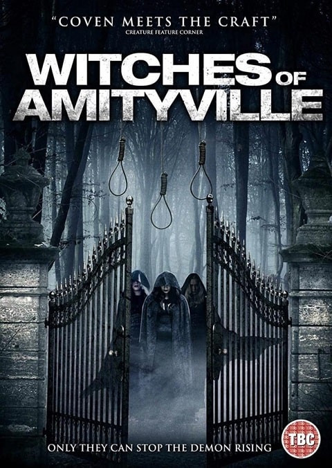 Witches of Amityville Academy box cover poster