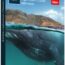 Adobe Photoshop Lightroom Classic 2021 cover poster box
